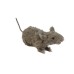 EUROPALMS Rat, lifelike with coat 30cm EUROPALMS Rat, lifelike with coat 30cm