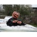 EUROPALMS Halloween Groundbreaker Pumpkin Monster, 50cm EUROPALMS Halloween Groundbreaker Pumpkin Monster, 50cm