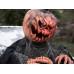 EUROPALMS Halloween Groundbreaker Pumpkin Monster, 50cm EUROPALMS Halloween Groundbreaker Pumpkin Monster, 50cm