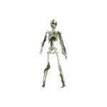 EUROPALMS Halloween Skelteton with Moss, 40cm
