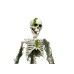EUROPALMS Halloween Skelteton with Moss, 40cm EUROPALMS Halloween Skelteton with Moss, 40cm