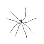 EUROPALMS Halloween Giant Spider, black, 230cm